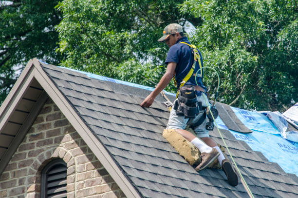 Quick and Trustworthy Emergency Roof Repair Services in Shorewood, MN